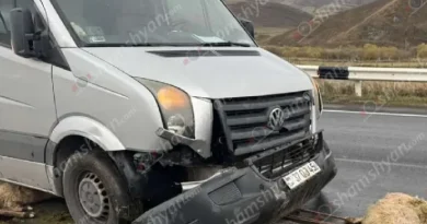 Սևանում մեքենան վրաերթի է ենթարկել 18 ոչխարի, մեծ մասը՝ մայրացու
