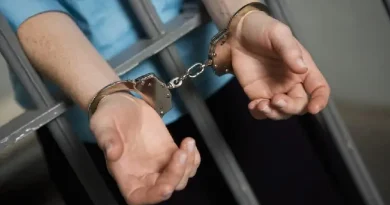 Դիլիջանում 72-ամյա ուսուցչուհու մահվան դեպքով կալանավորվել է նրա 42-ամյա որդին