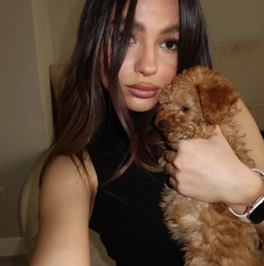 eliz meliqyan 2