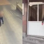 zap gevorik